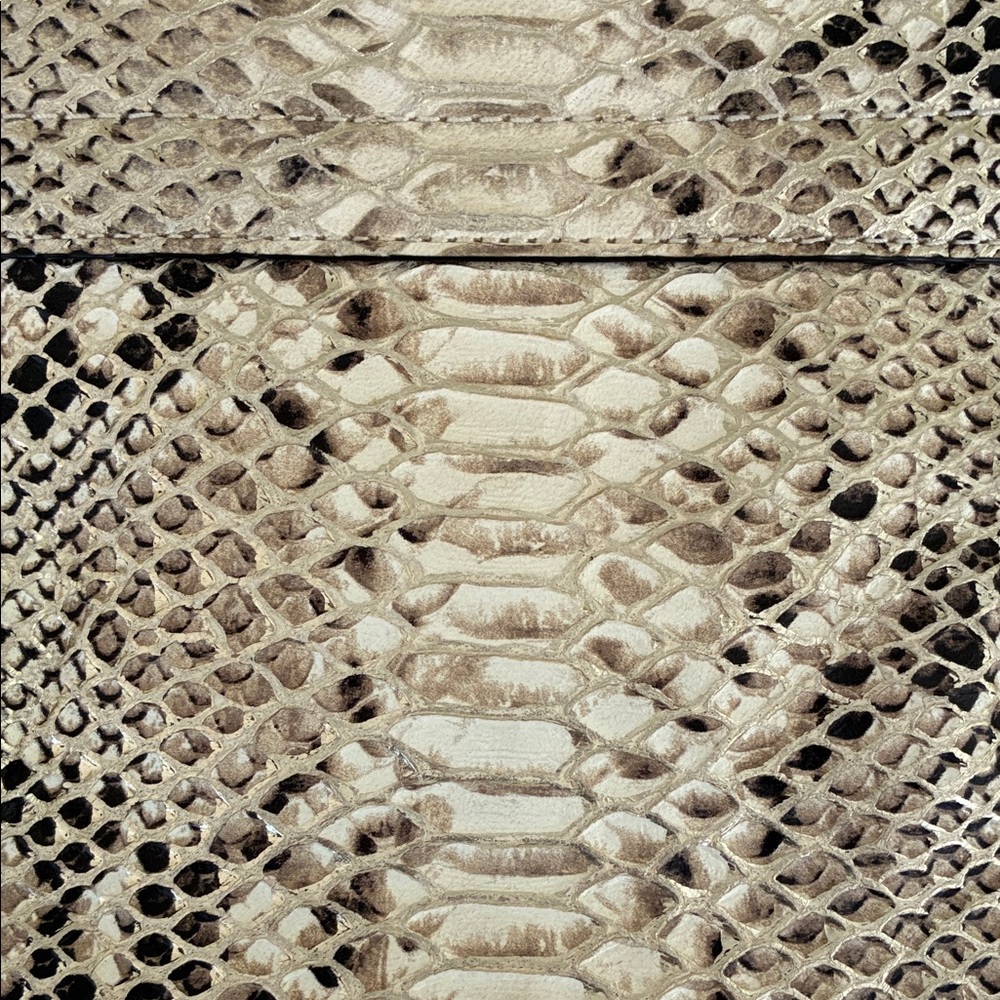 Banana Republic Snake Print Clutch with Gold Tone Frame - Picture 9 of 13